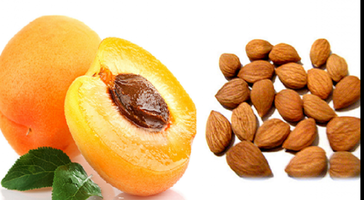 نوى المشمش سامة... لكنها تقتل الخلايا السرطانية - فيديو